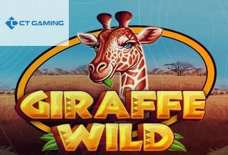 Giraffe Wild